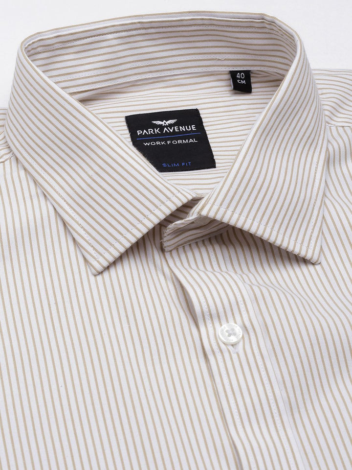 Park Avenue Slim Fit Opaque Striped Formal Shirt