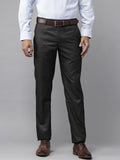 Park Avenue Men Regular Fit Checked Formal Trousers