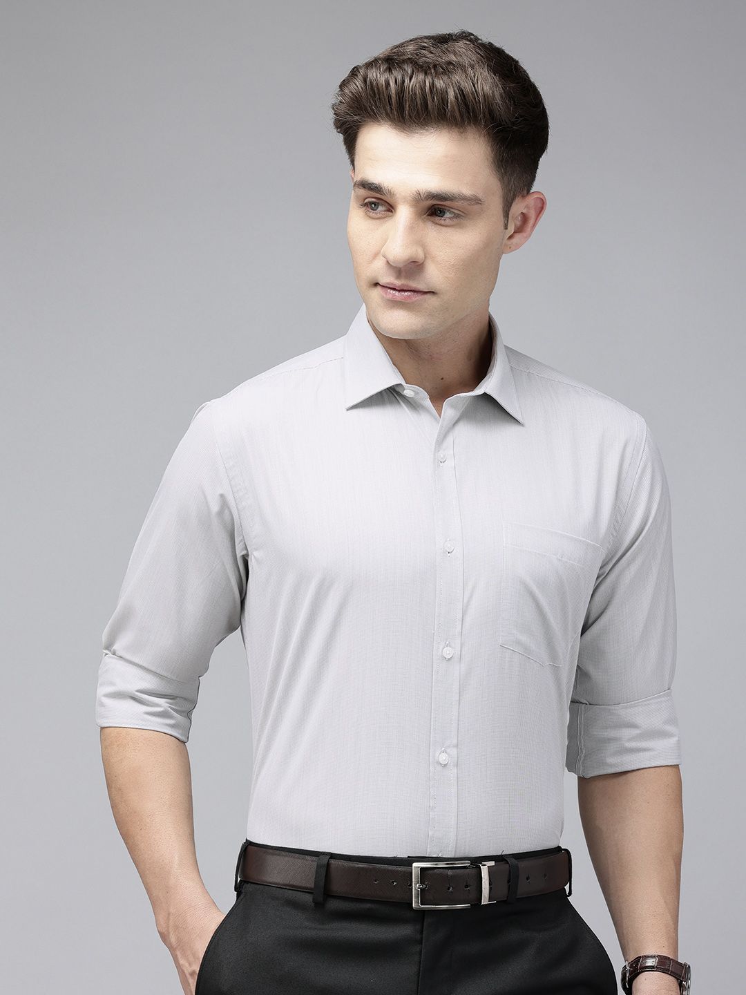 Park Avenue Slim Fit Micro Checks Opaque Formal Shirt