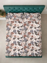 Moda Rapido X KLOTTHE Beige & Brown Floral 300 TC King Bedsheet with 2 Pillow Covers