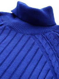 DressBerry Ribbed Acrylic Turtle Neck Pullover