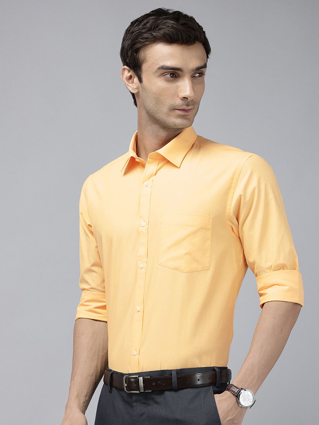 Park Avenue Slim Fit Formal Shirt