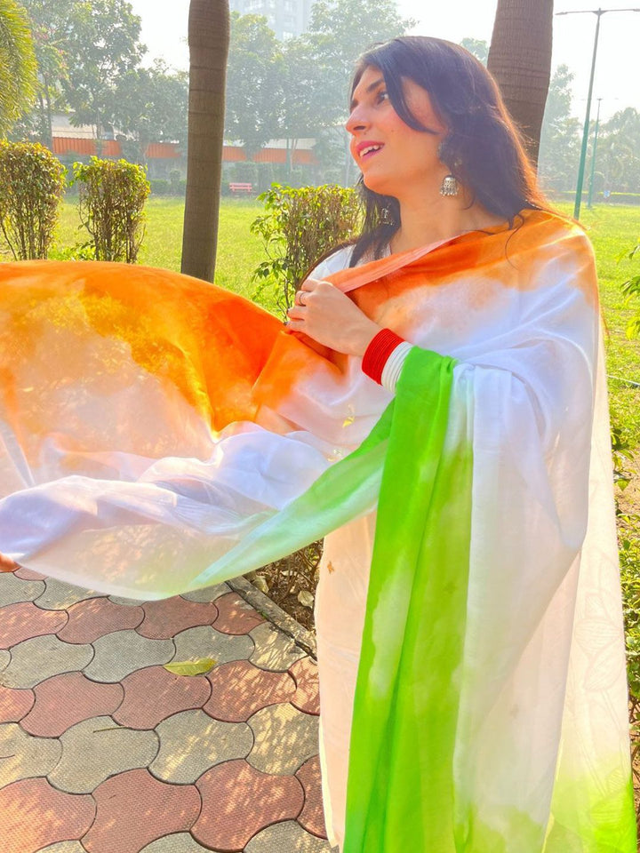 KALINI Ombre Dyed Tricolor Chiffon Dupatta
