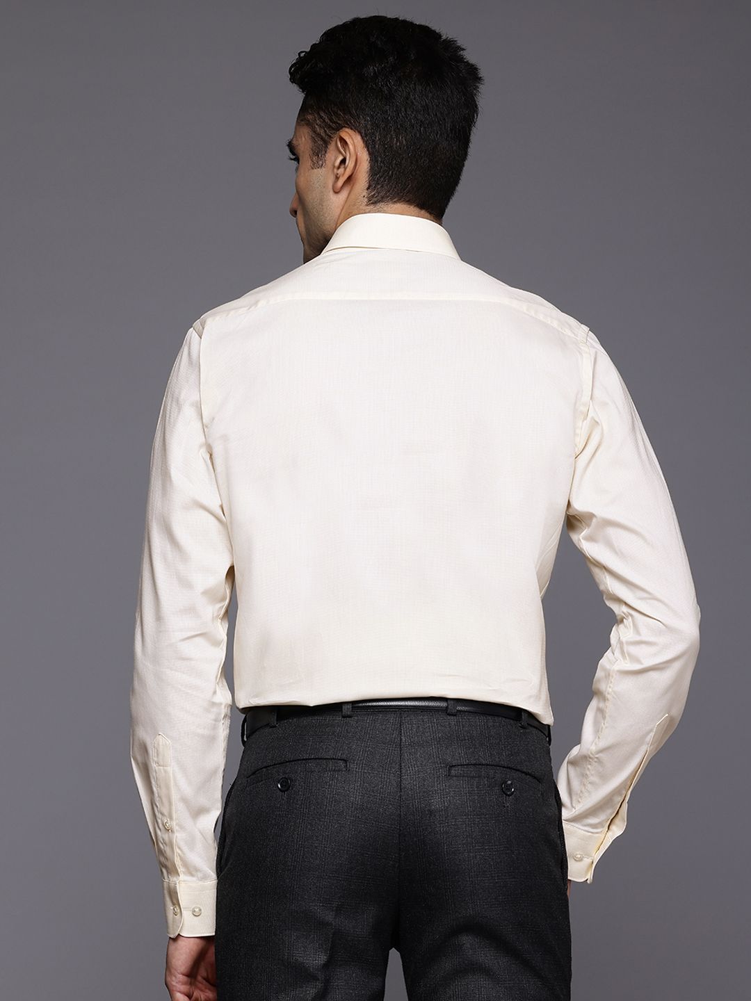 Raymond Pure Cotton Slim Fit Formal Shirt