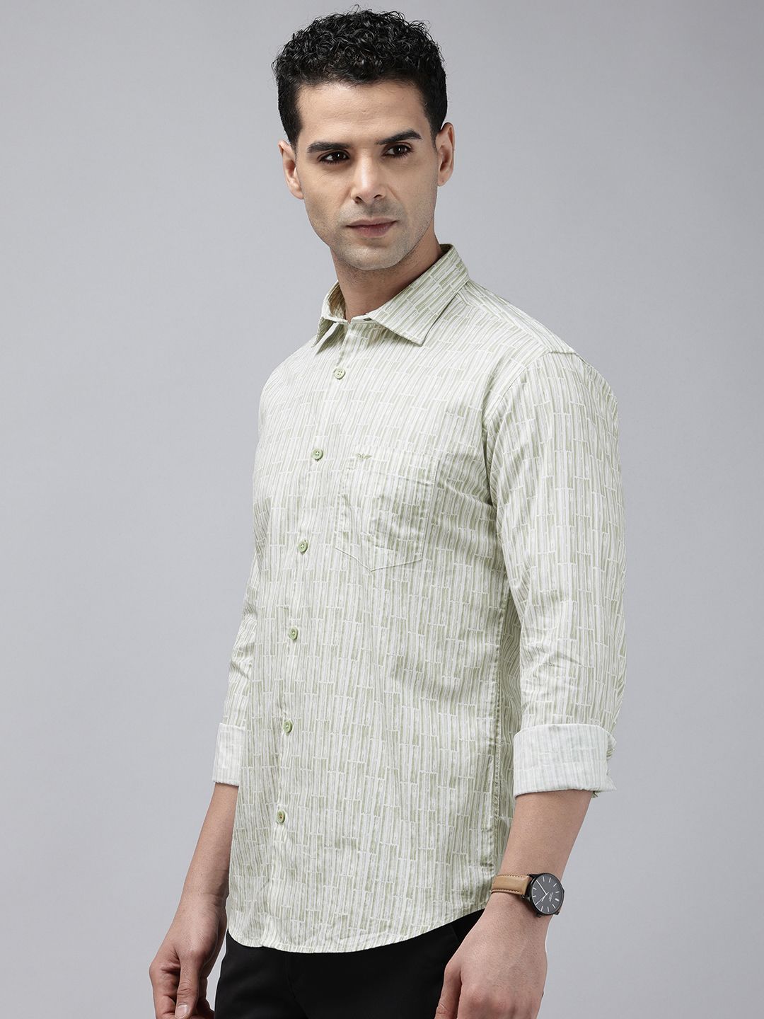 Park Avenue Slim Fit Opaque Striped Pure Cotton Casual Shirt