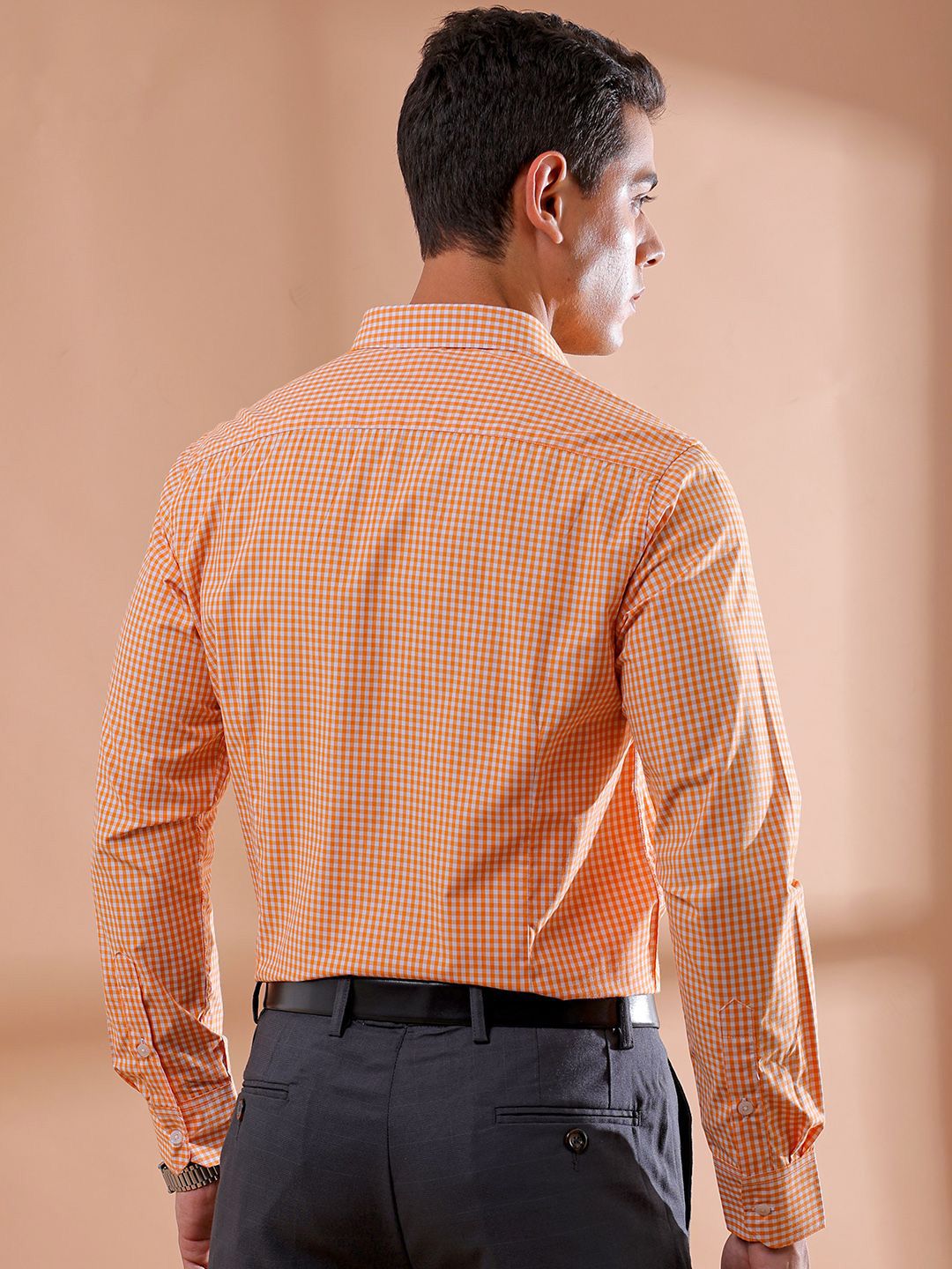 The Indian Garage Co. X Luxe Men Slim Fit Gingham Checks Opaque Checked Formal Shirt