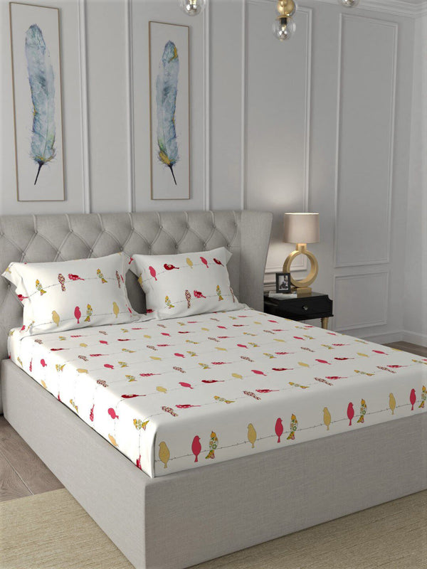 URBAN SPACE Humming bird 144 TC Floral Fitted King Bedsheet