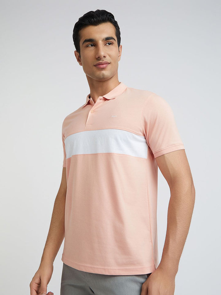 Park Avenue Striped Slim Fit Polo Collar T-shirt