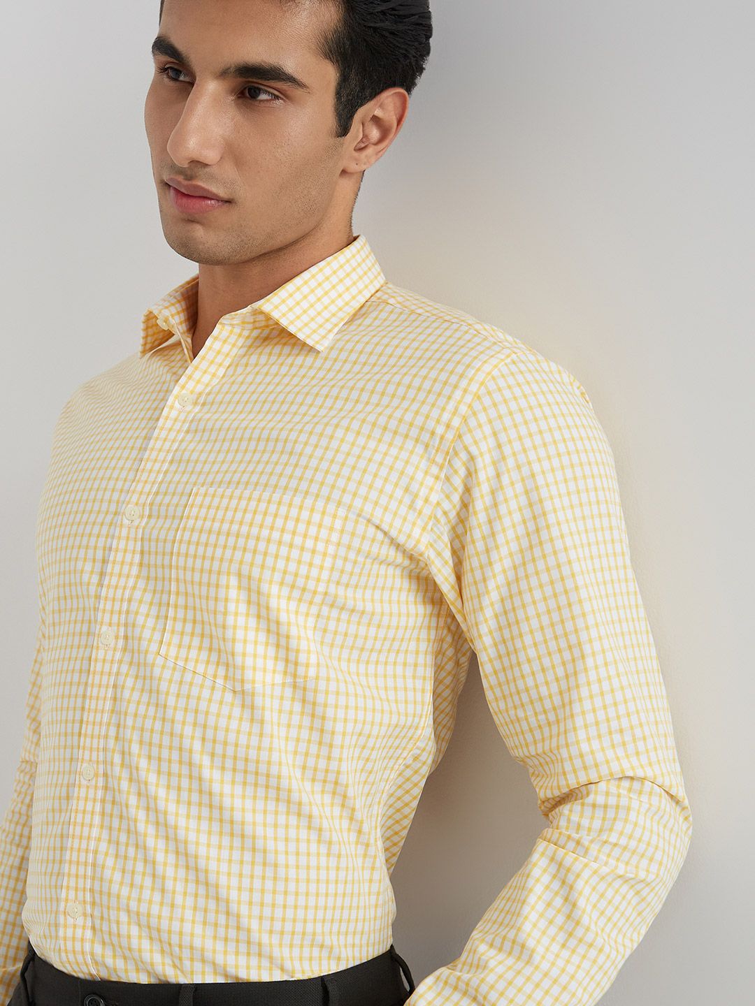 Park Avenue Slim Fit Gingham Checks Pure Cotton Formal Shirt