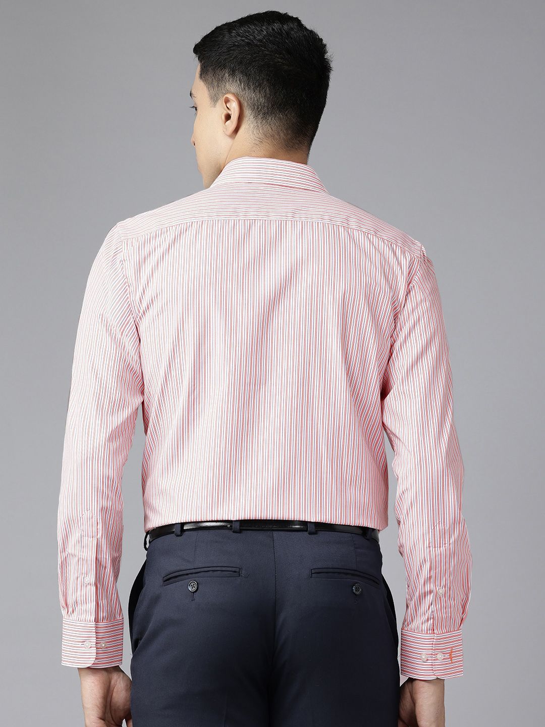 Park Avenue Slim Fit Striped Formal Shirt