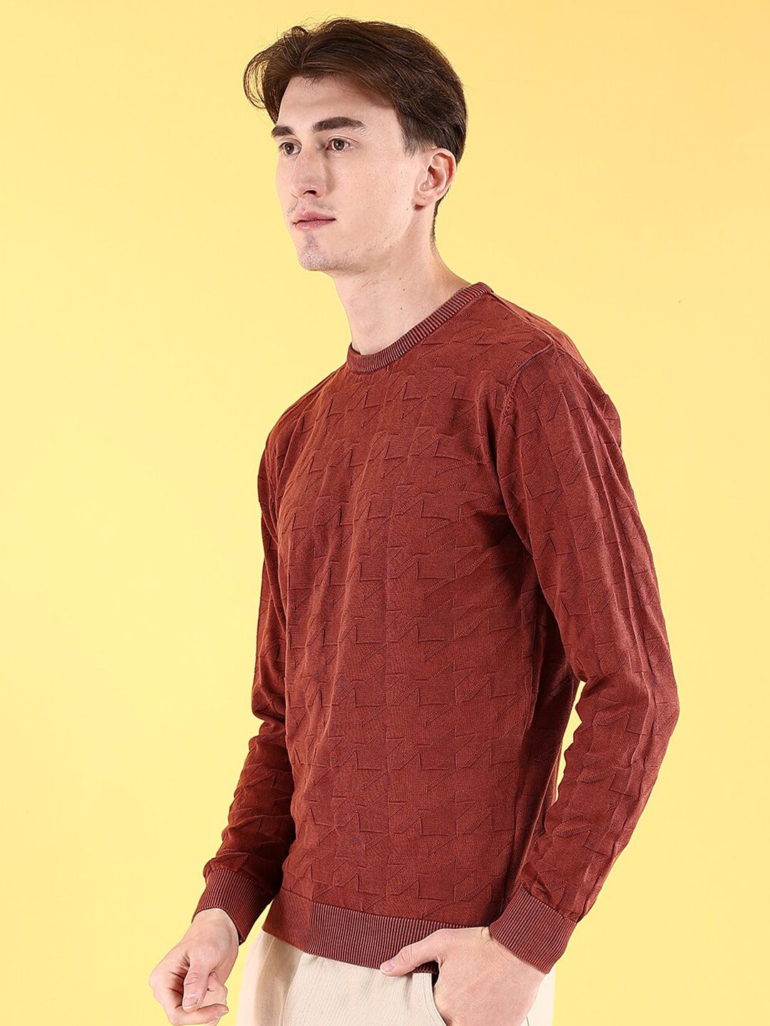 The Indian Garage Co Self Design Geometric Pullover Acrylic Sweater