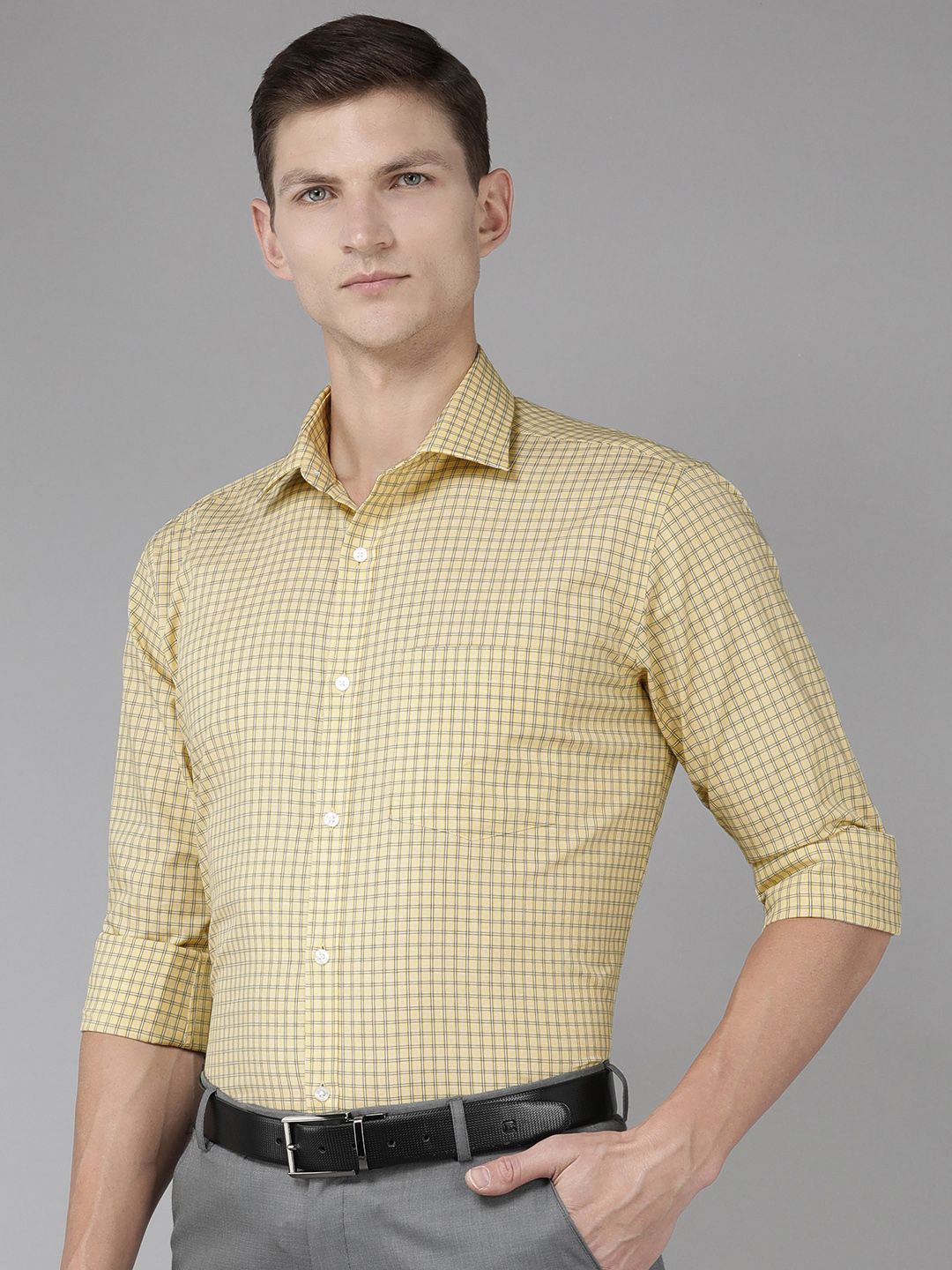Park Avenue Pure Cotton Slim Fit Checked Formal Shirt