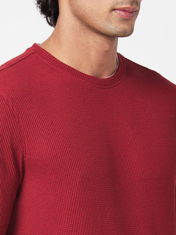 SPYKAR Round Neck Cotton Sweatshirt