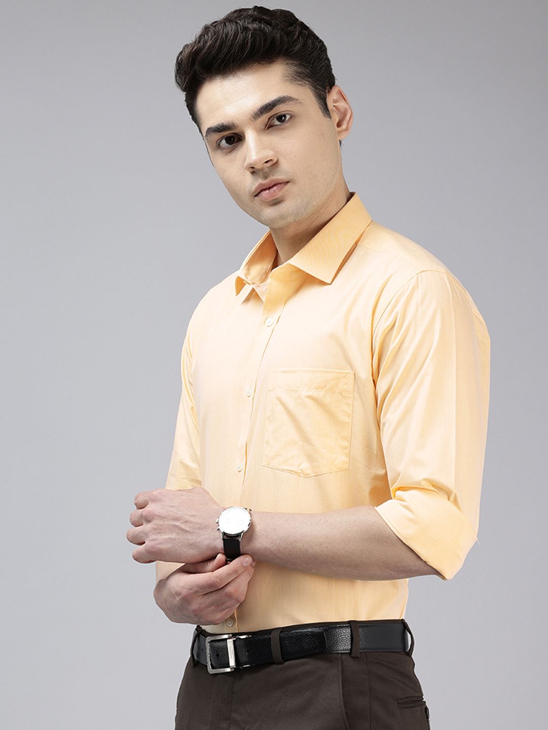 Park Avenue Slim Fit Formal Shirt