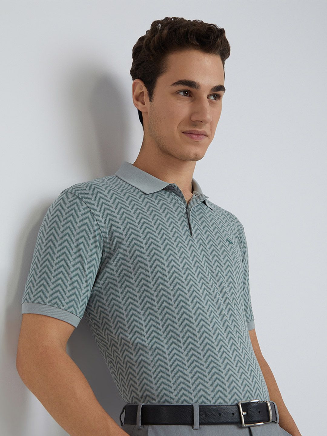 Park Avenue Printed Polo Collar Slim Fit T-shirt