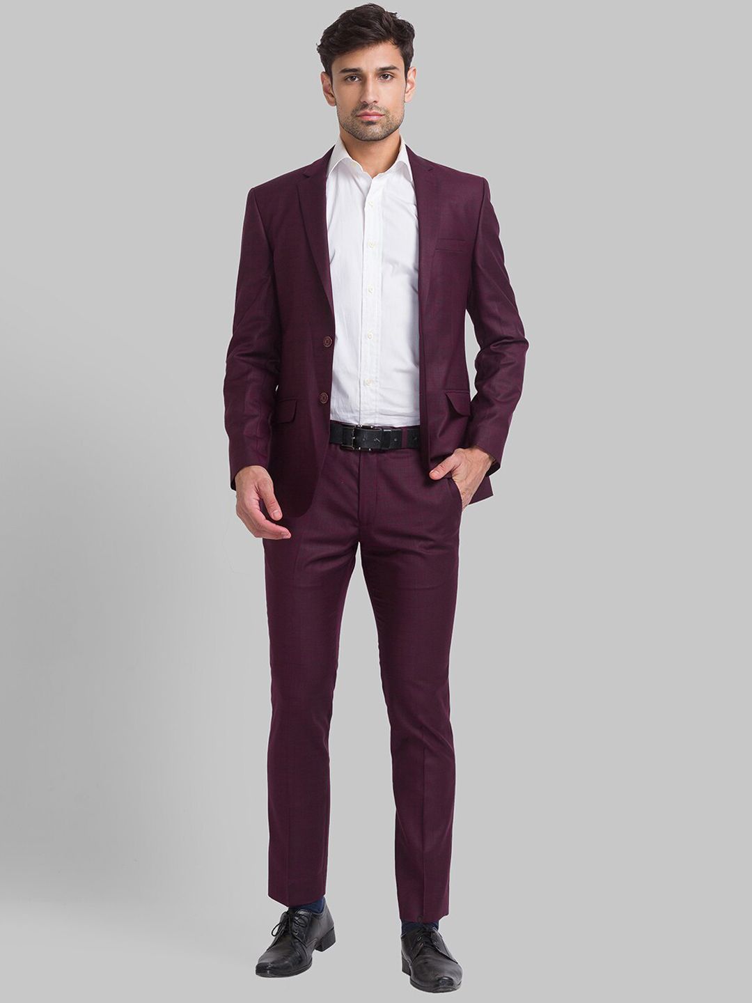 Park Avenue Men Checked Super 2 Piece Formal Suit