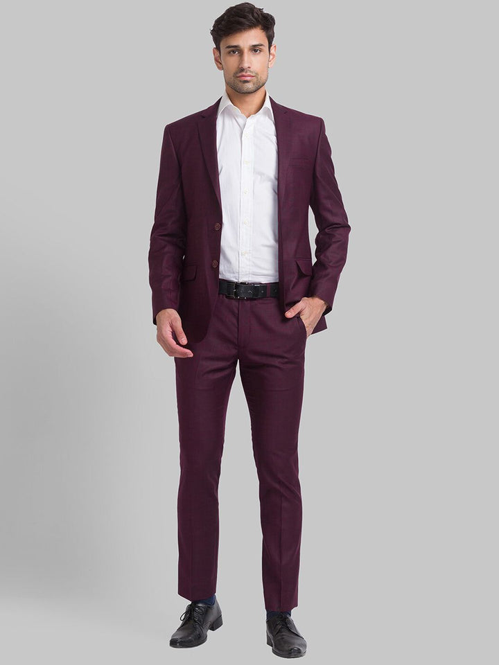 Park Avenue Men Checked Super 2 Piece Formal Suit