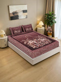 KLOTTHE Rust 140 TC King Bedsheet with 2 Pillow Covers
