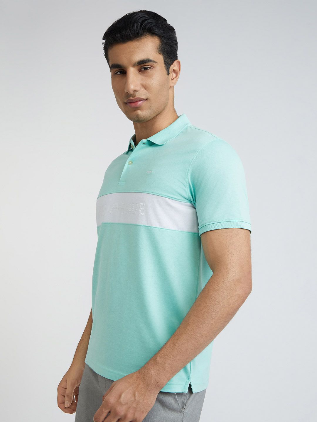 Park Avenue Striped Polo Collar Slim Fit T-shirt