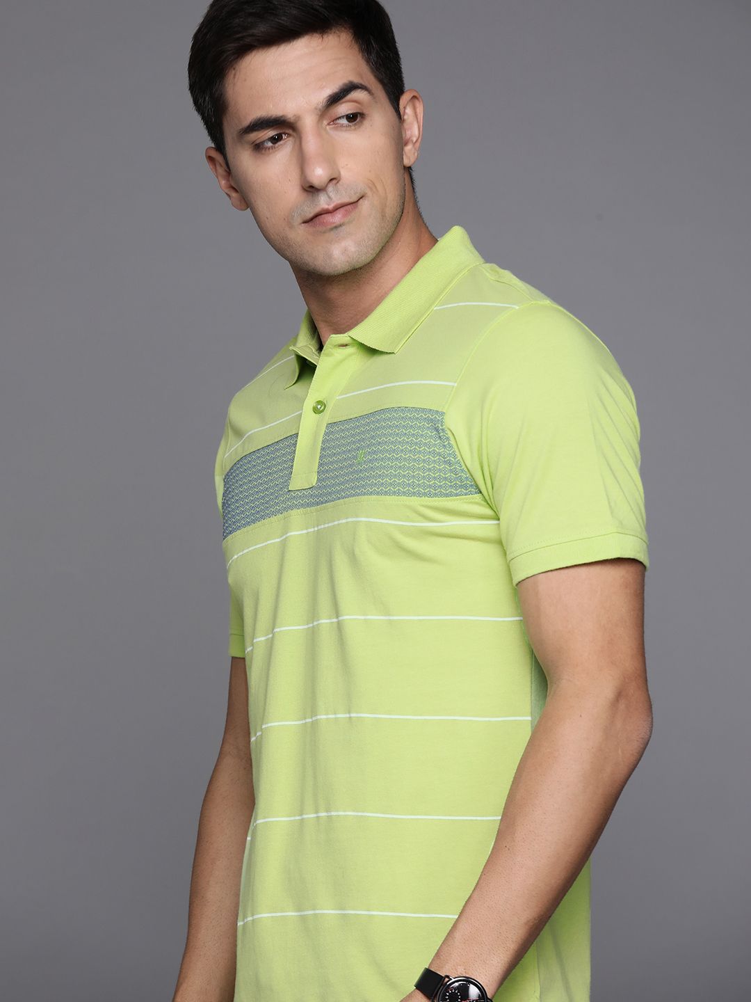 Raymond Men Green & White Pure Cotton Striped Polo Collar T-shirt