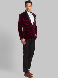 Park Avenue Men Velvet Single Breasted Dua Piece Suit