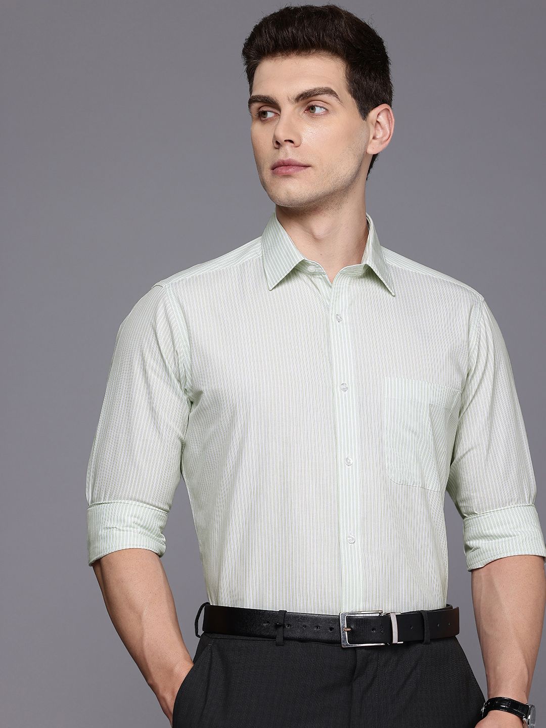 Raymond Slim Fit Striped Pure Cotton Formal Shirt