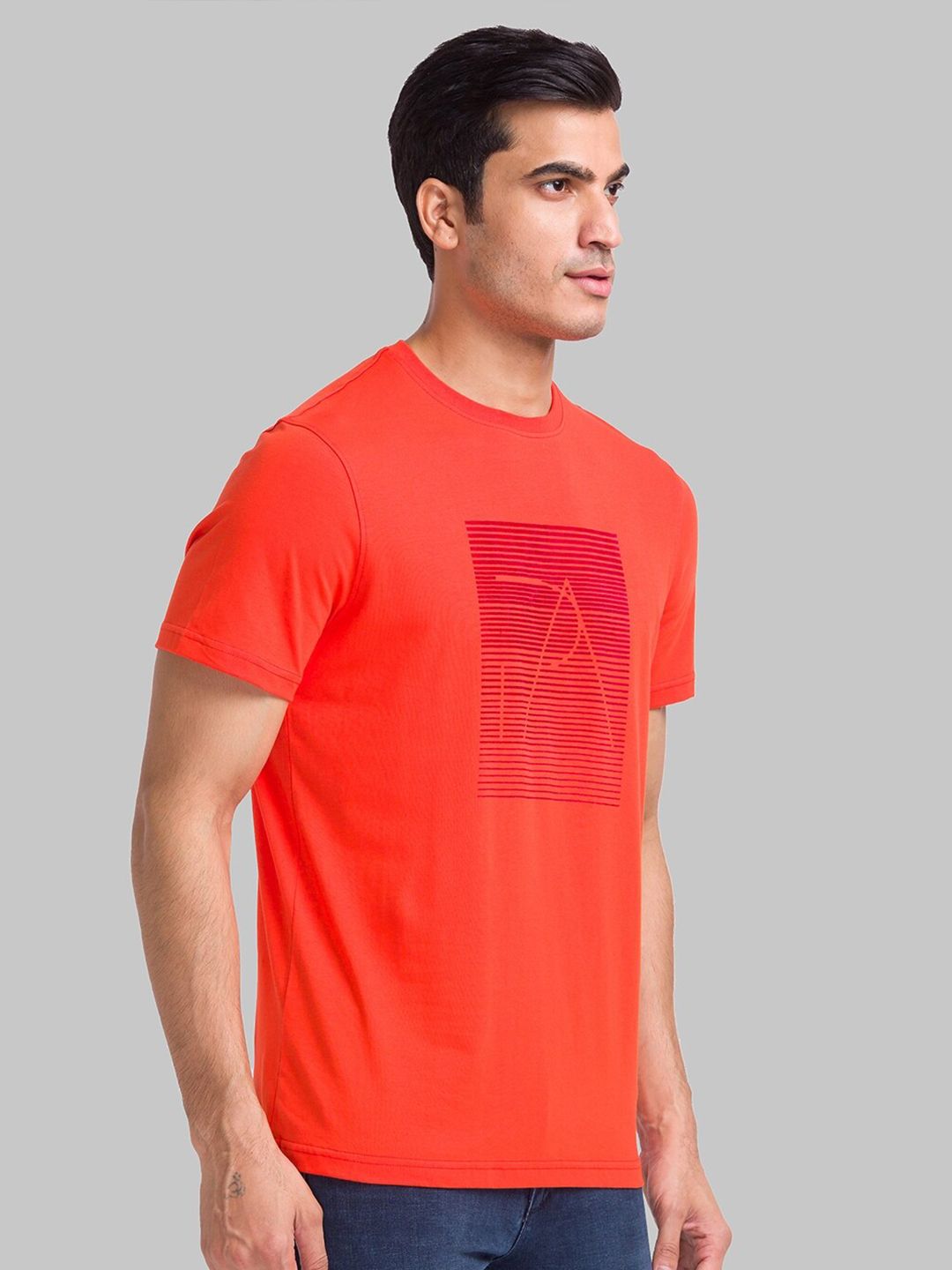 Park Avenue Geometric Printed Slim Fit T-Shirt