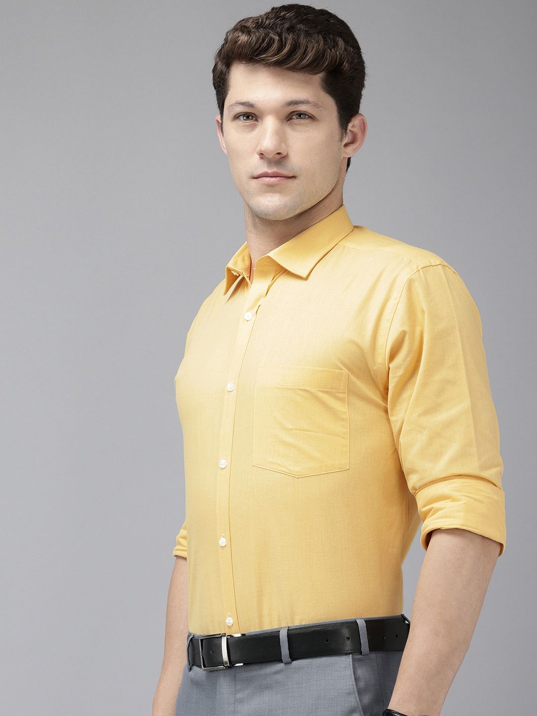 Park Avenue Pure Cotton Slim Fit Baju Formal Legap