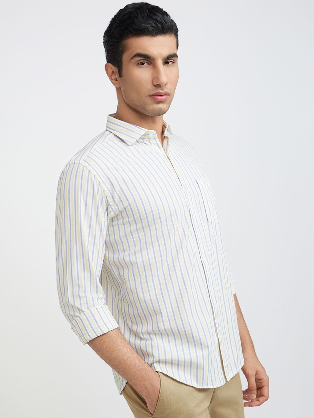 Park Avenue Men Slim Fit Vertical Stripes Opaque Pure Cotton Casual Shirt