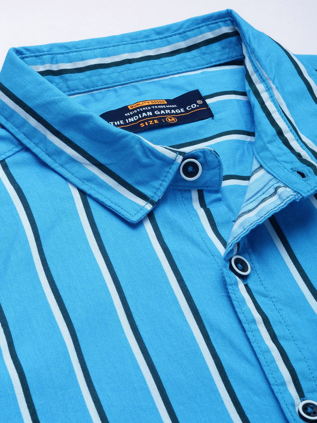 The Indian Garage Co Men Blue & White Striped Cotton Shirt
