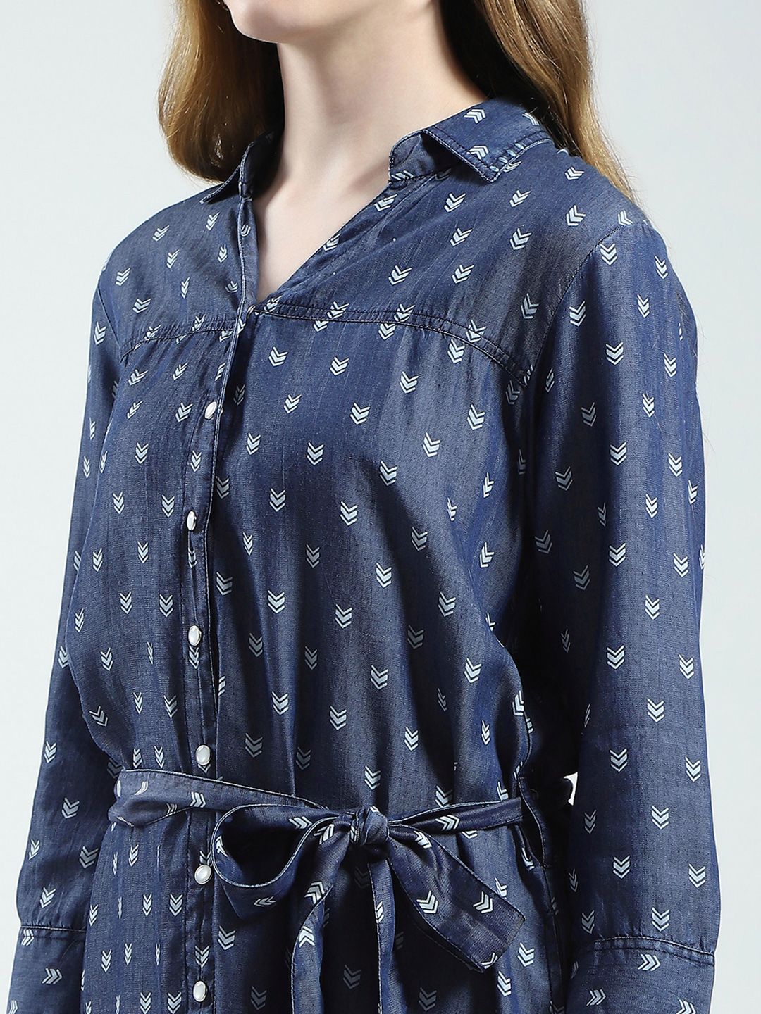 Monte Carlo Printed Shirt Collar A-Line Kurta