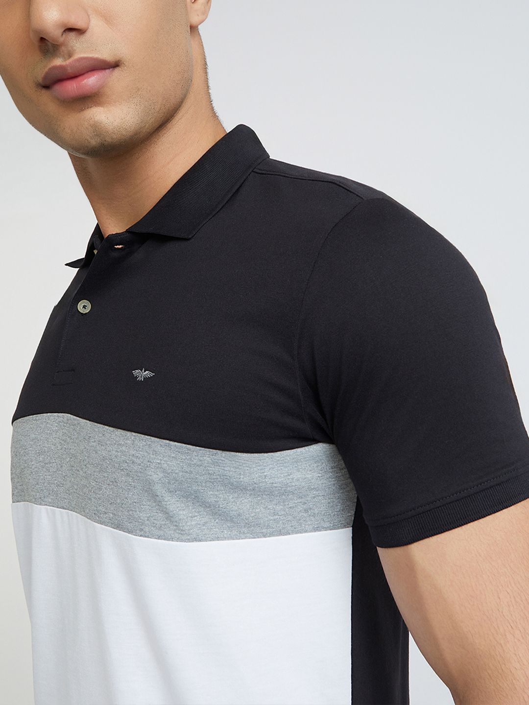 Park Avenue Colourblocked Polo Collar Slim Fit T-shirt