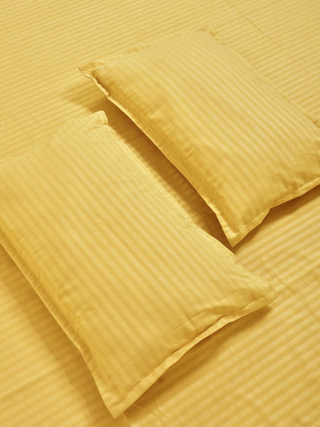 KLOTTHE Yellow Striped Flat 300 TC King Double Bedsheet With 2 Pillow Covers