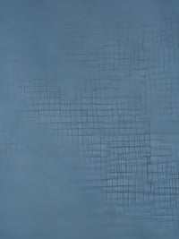 HOSTA HOMES Blue Self Design Black Out Door Curtain