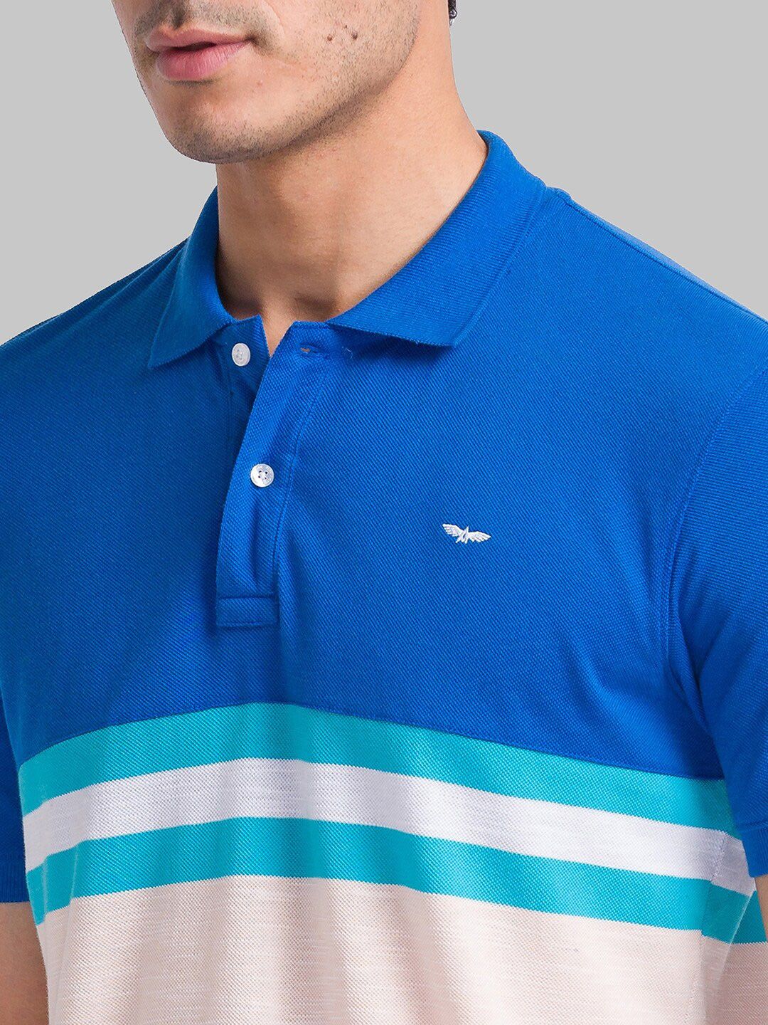 Park Avenue Striped Polo Collar Slim Fit T-shirt