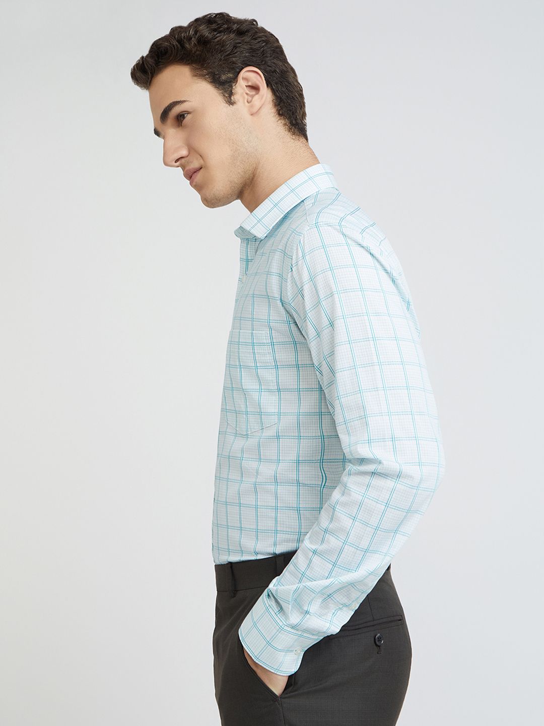 Park Avenue Slim Fit Checked Pure Cotton Formal Shirt