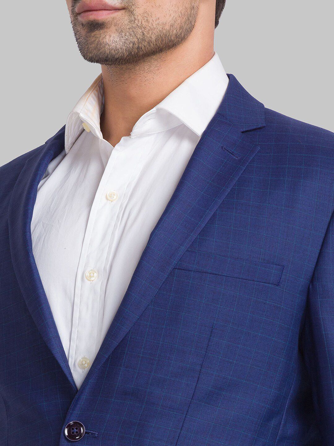 Park Avenue Men Checked Single-Breasted 2-Piece Suit