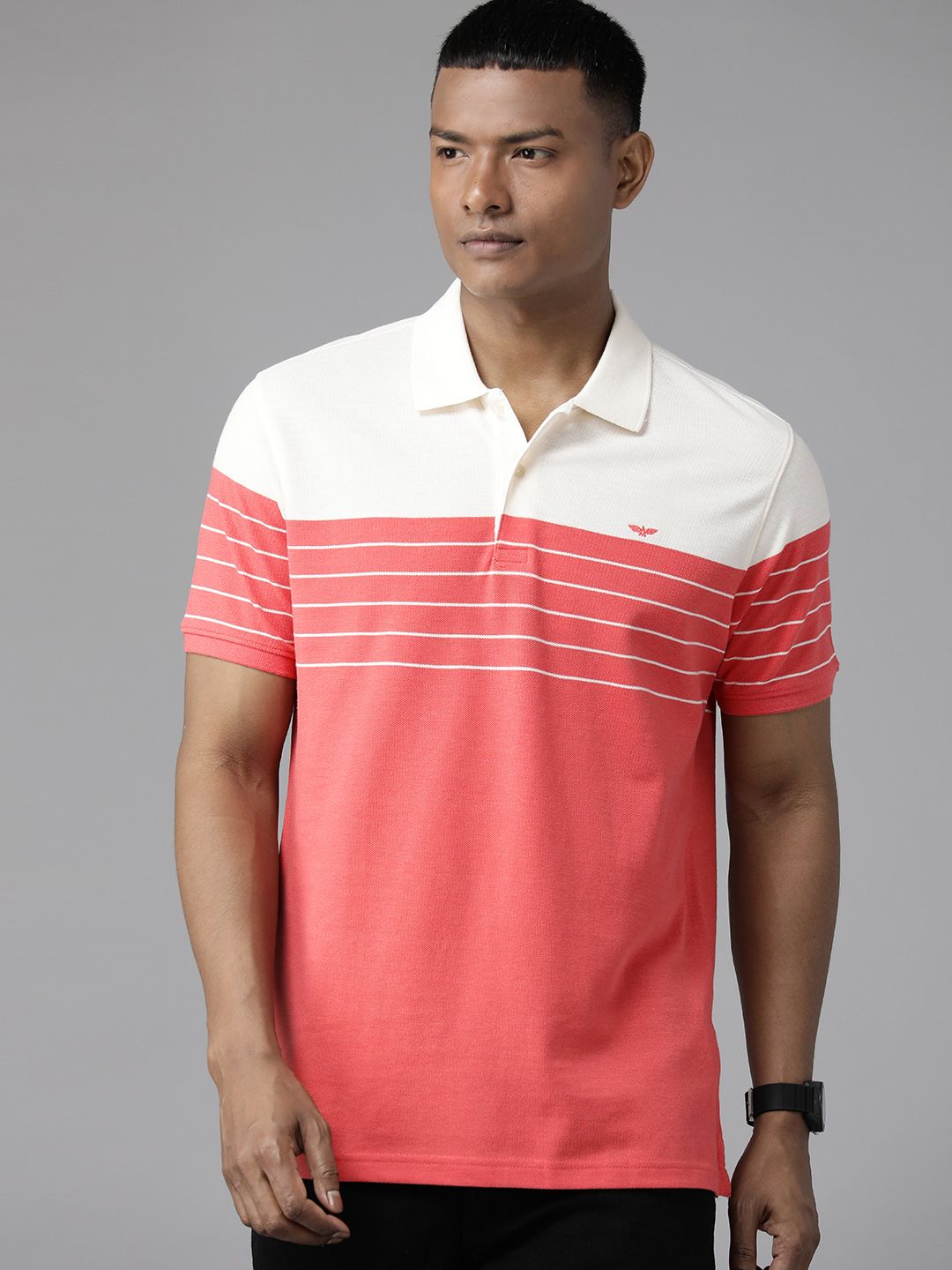 Park Avenue Men Colourblocked Polo Collar Slim Fit T-shirt