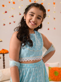 pspeaches Girls Printed Ready to Wear Lehenga & Blouse With Dupatta