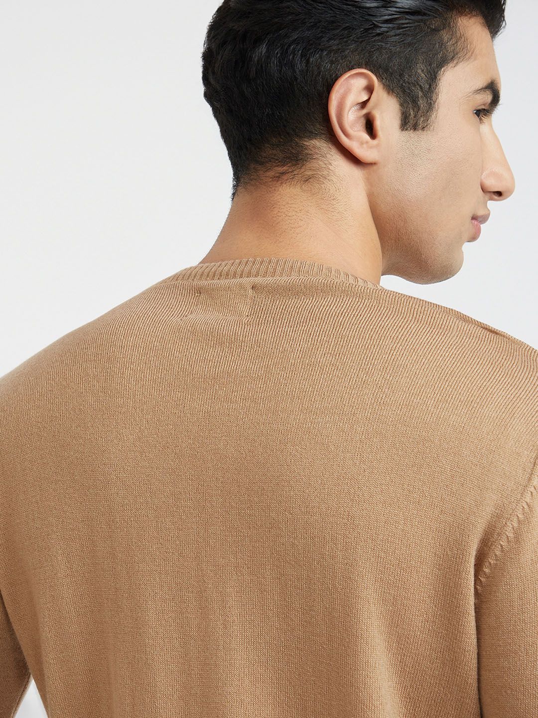 Raymond Men Beige Self Design Pullover