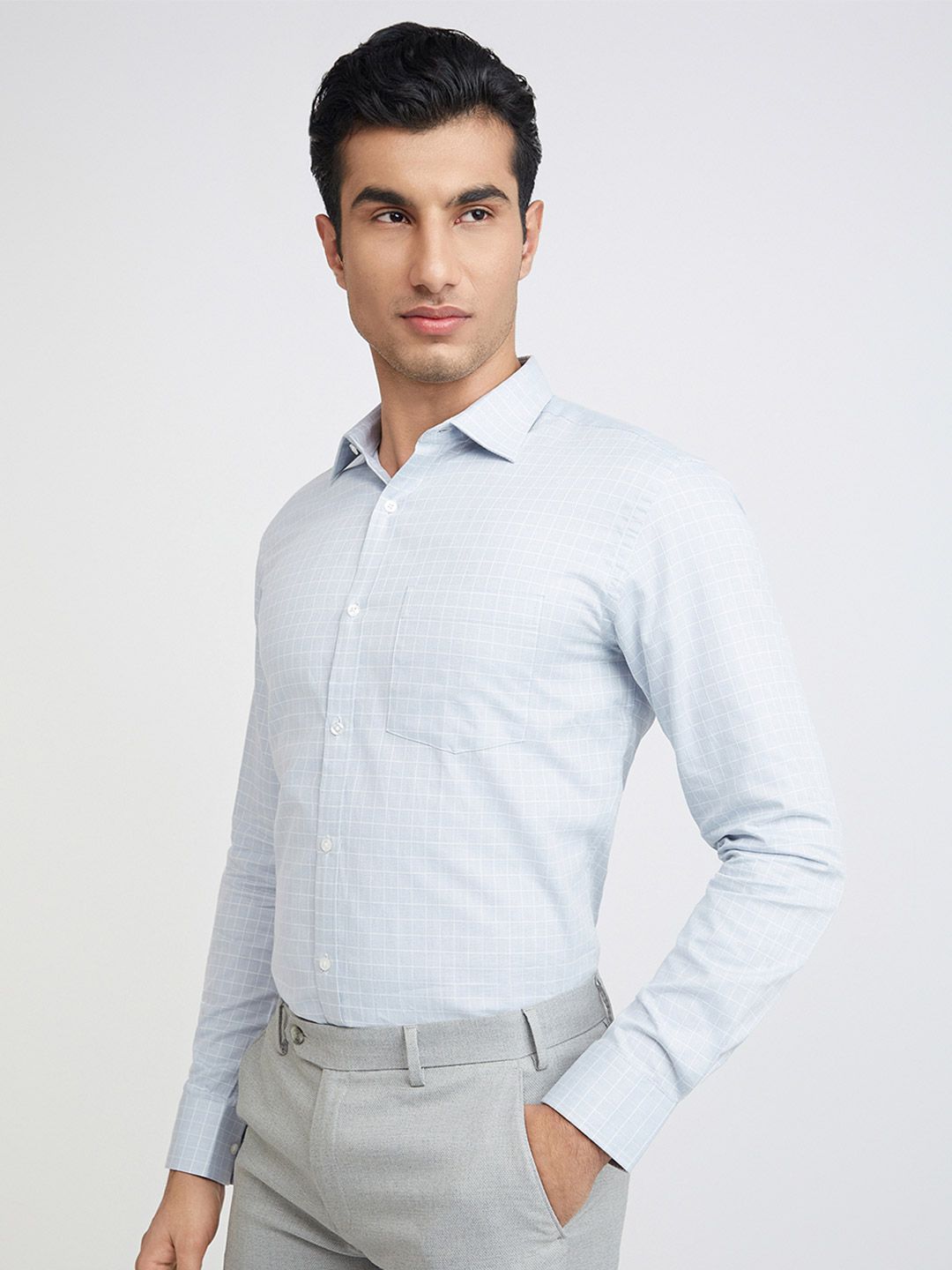 Park Avenue Slim Fit Windowpane Checks Pure Cotton Formal Shirt