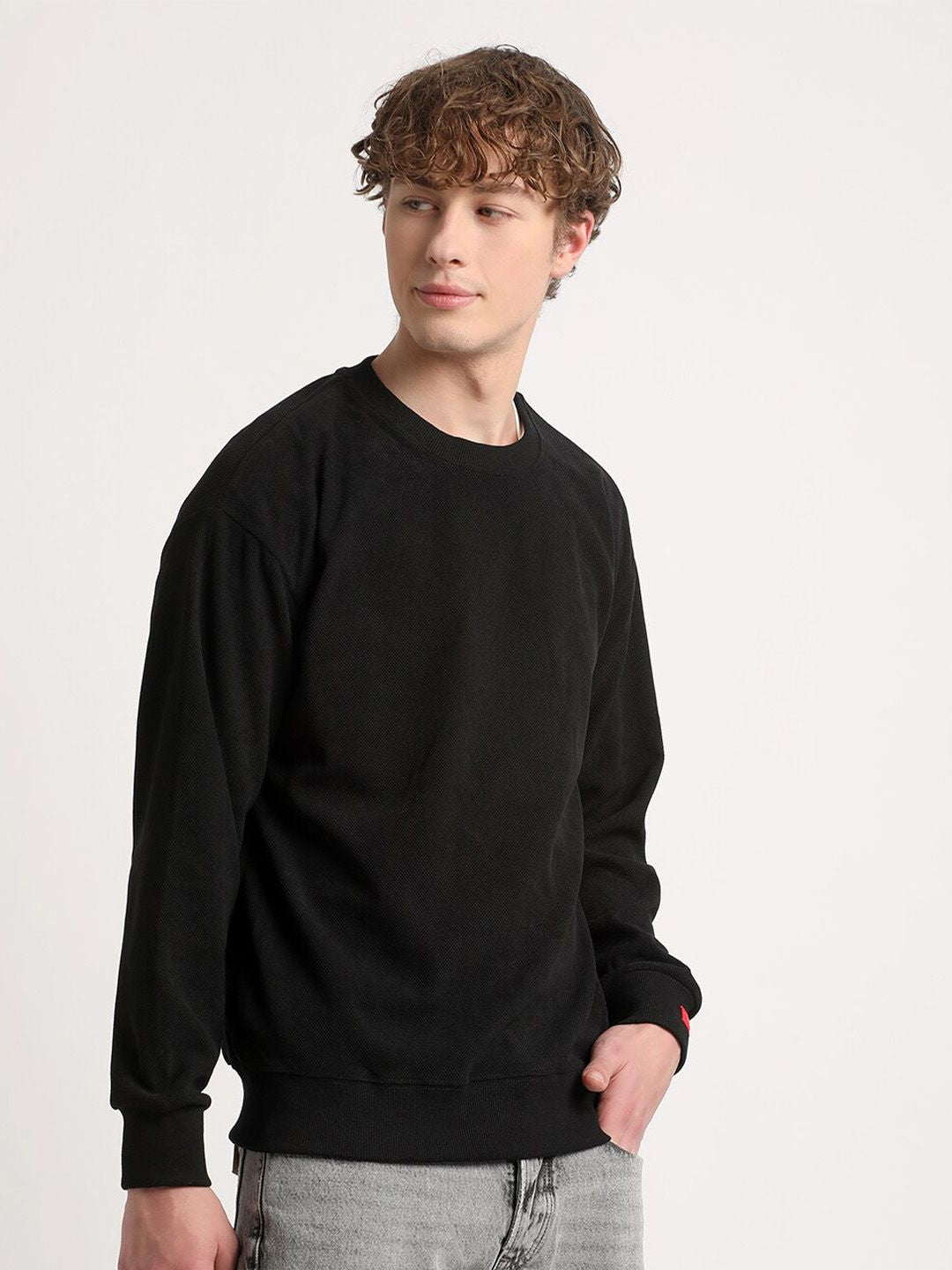 THE BEAR HOUSE Round Neck Pullover Sweatshirt
