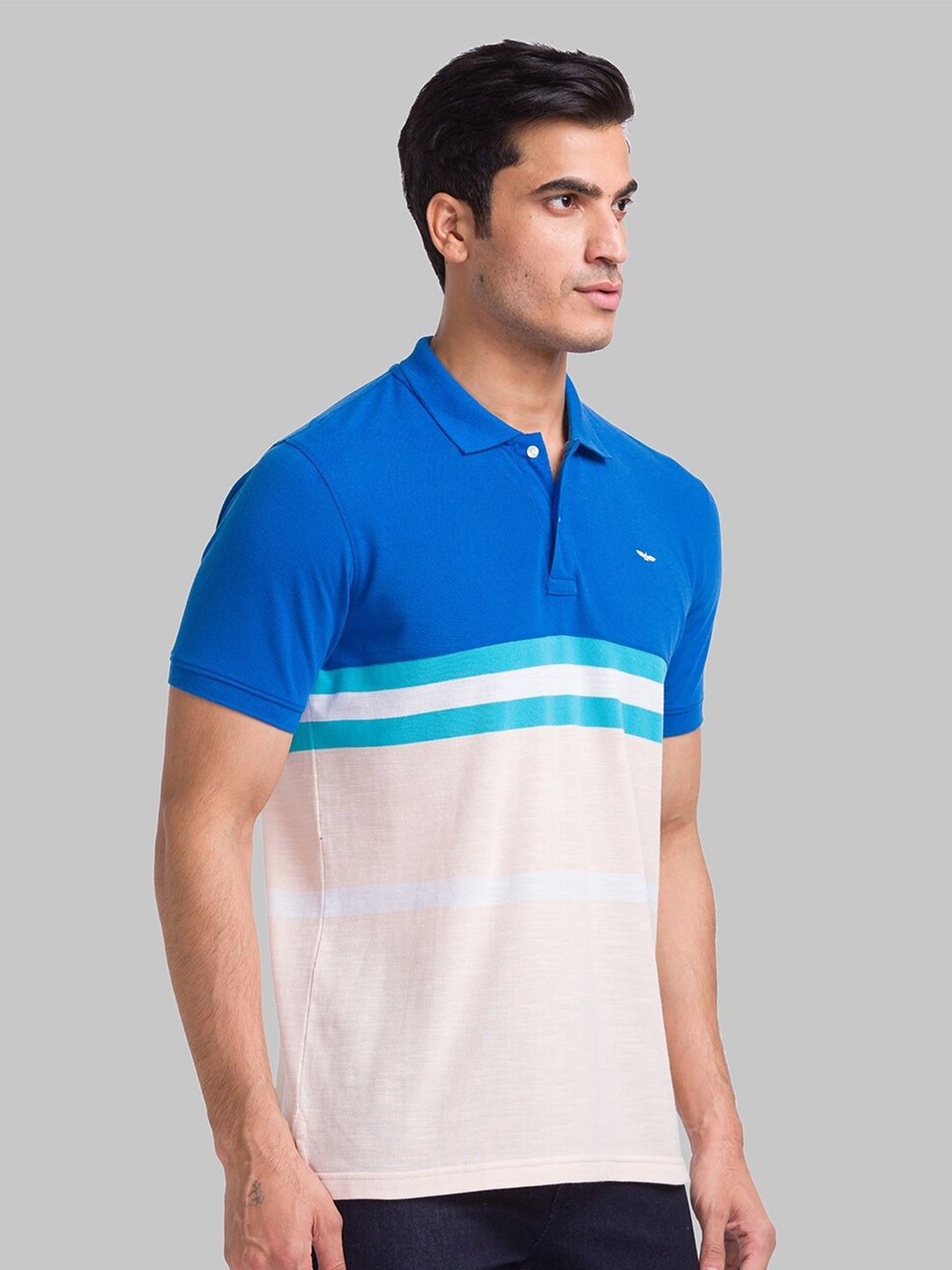 Park Avenue Striped Polo Collar Slim Fit T-shirt