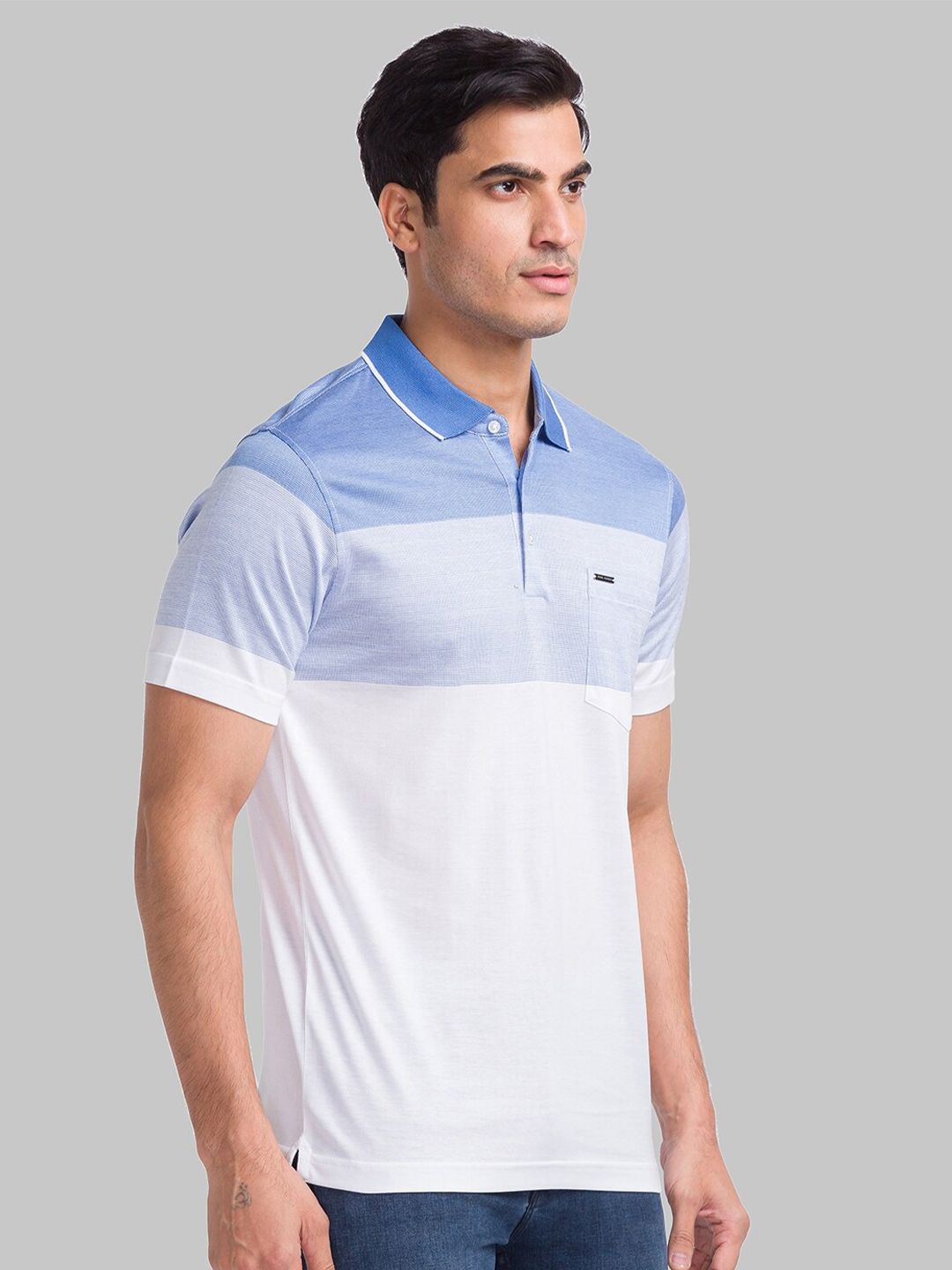 Park Avenue Colourblocked Polo Collar Pure Cotton Slim Fit T-shirt