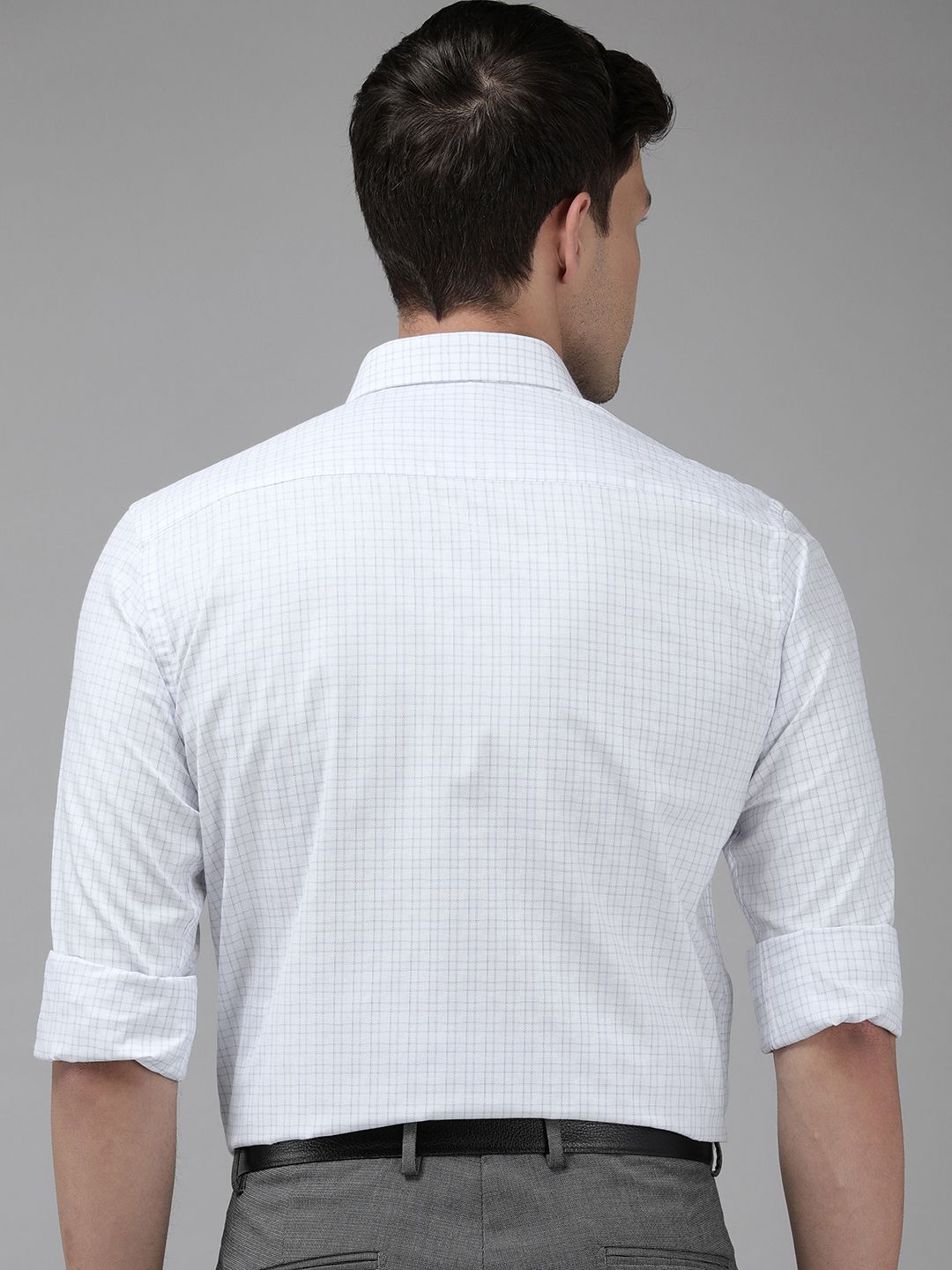 Park Avenue Slim Fit Checked Formal Shirt