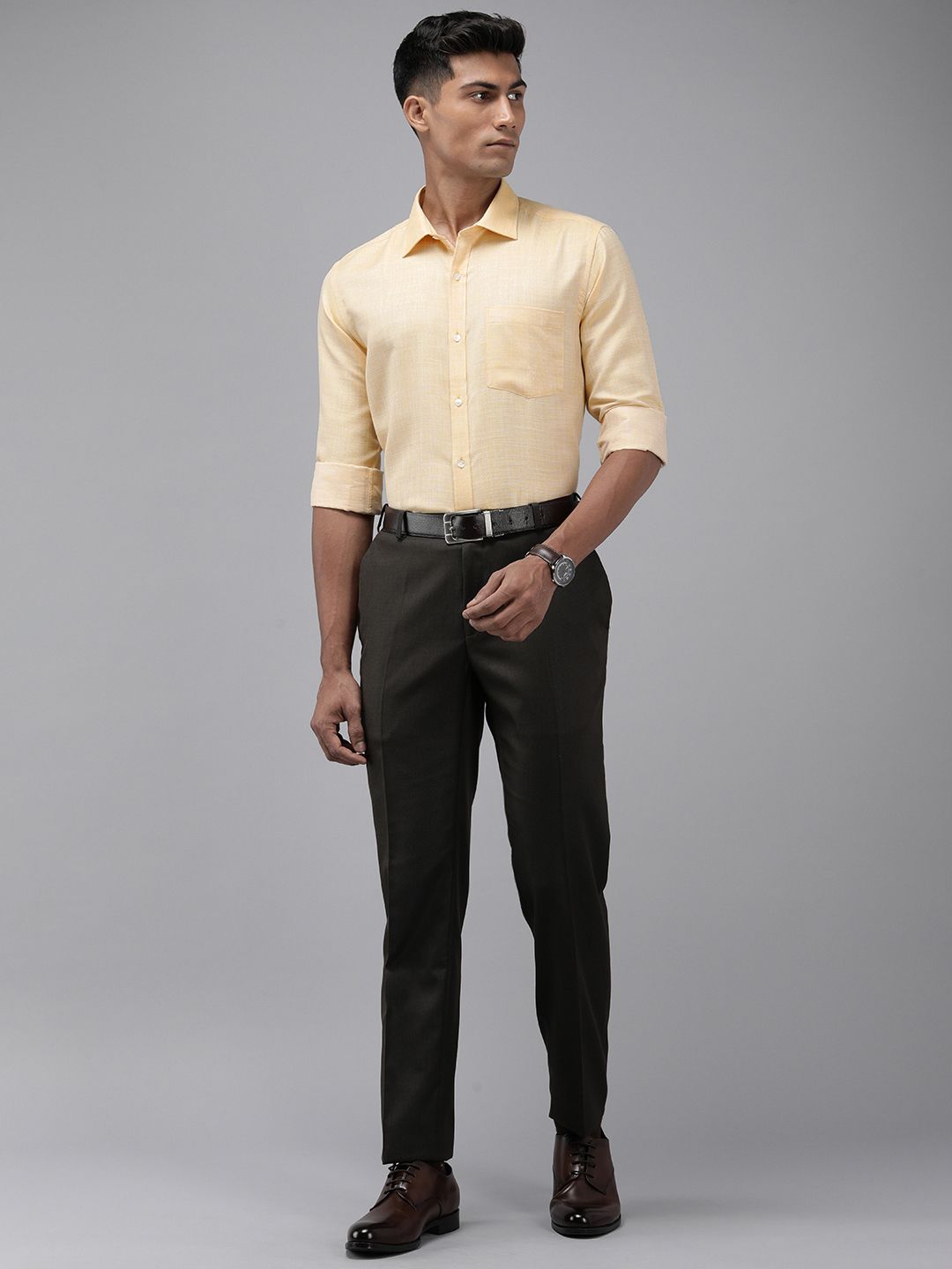 Park Avenue Self Design Slim Fit Textured Formal Shirt
