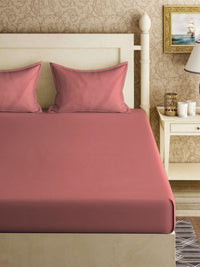 KLOTTHE Kids Rust Polycotton 300 TC Fitted King Cadar dengan 2 Sarung Bantal-98 x 89 inci