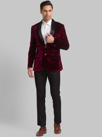 Park Avenue Men Velvet Single Breasted Dua Piece Suit