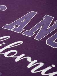 DILLINGER Women Purple Typography Printed Drop-Shoulder Sleeves Oversized Pure Cotton T-shirt