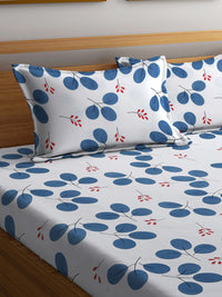 KLOTTHE White Floral Cotton 300 TC Fitted King Fine Bedsheet with 2 Pillow Covers-98 x 89 inches